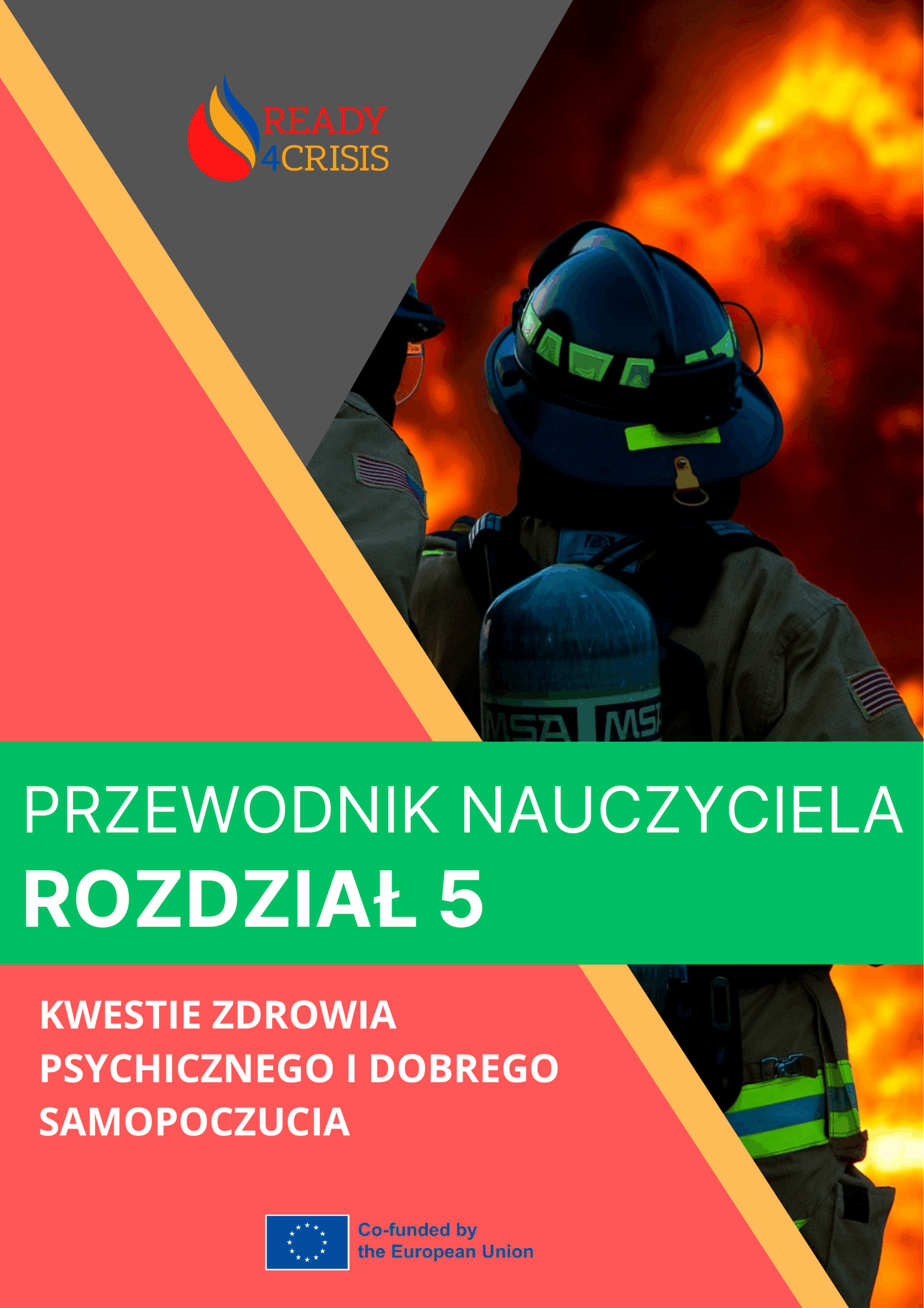 Wytyczna 5
